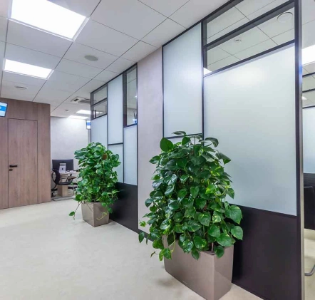 decorative glass for indoor use